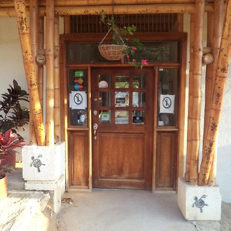 La Tortuga Hostel Taganga Extérieur photo