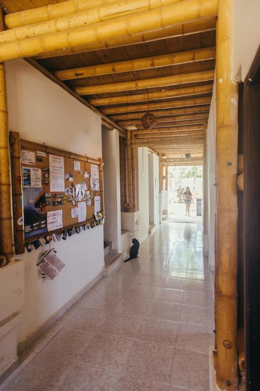 La Tortuga Hostel Taganga Extérieur photo