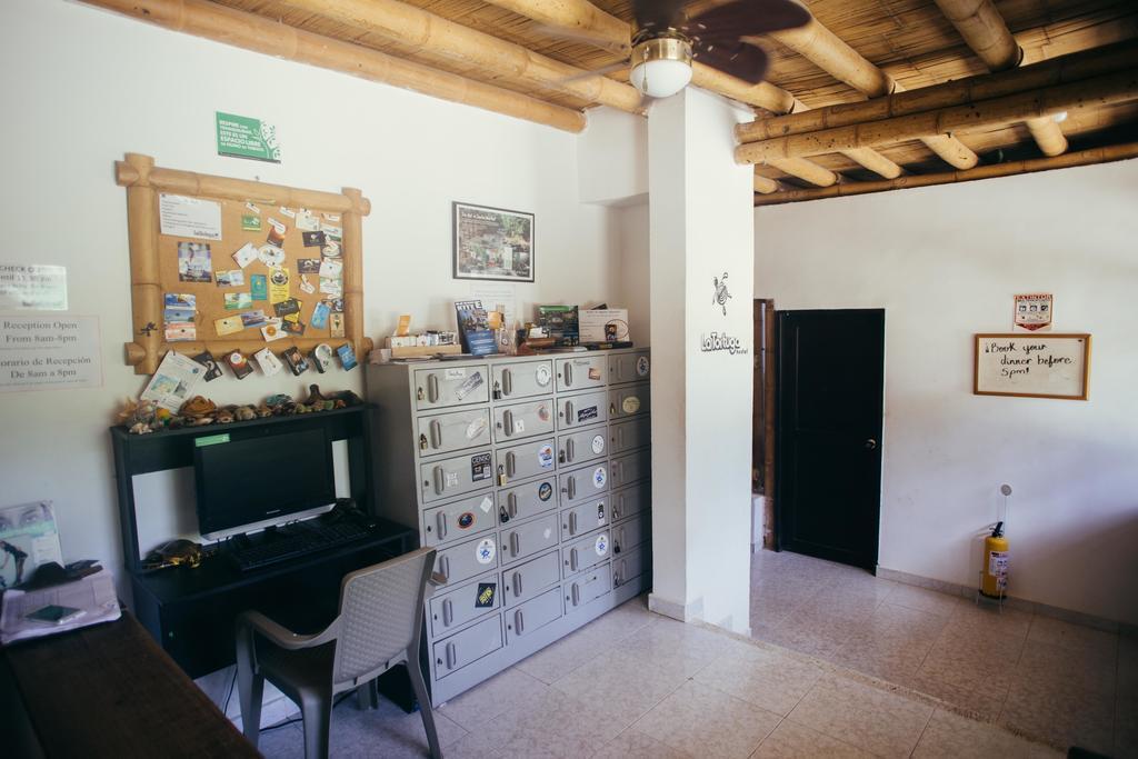 La Tortuga Hostel Taganga Extérieur photo