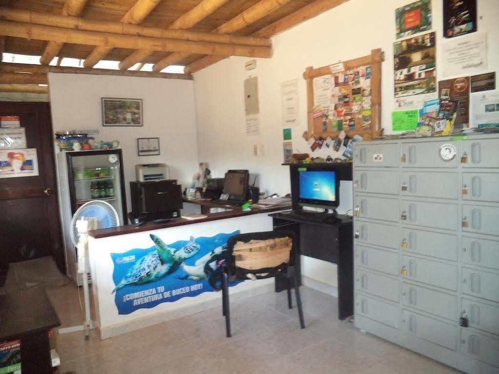 La Tortuga Hostel Taganga Extérieur photo